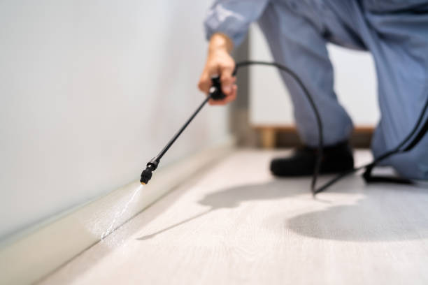 Licensed Pest Control service in New Brighton, PA - Show Me Pest Control